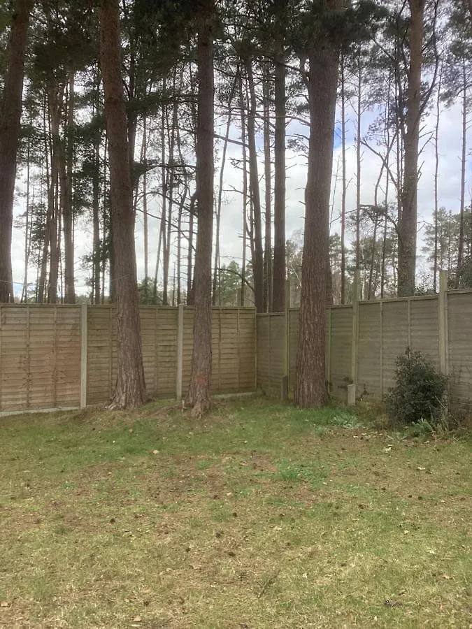 Forest Heath Holidays - Denphyl Ringwood